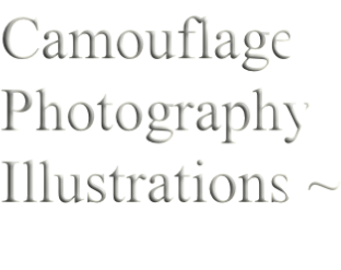 Camouflage Photography Illustrations ~