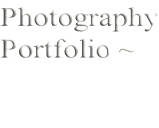 Photography Portfolio ~